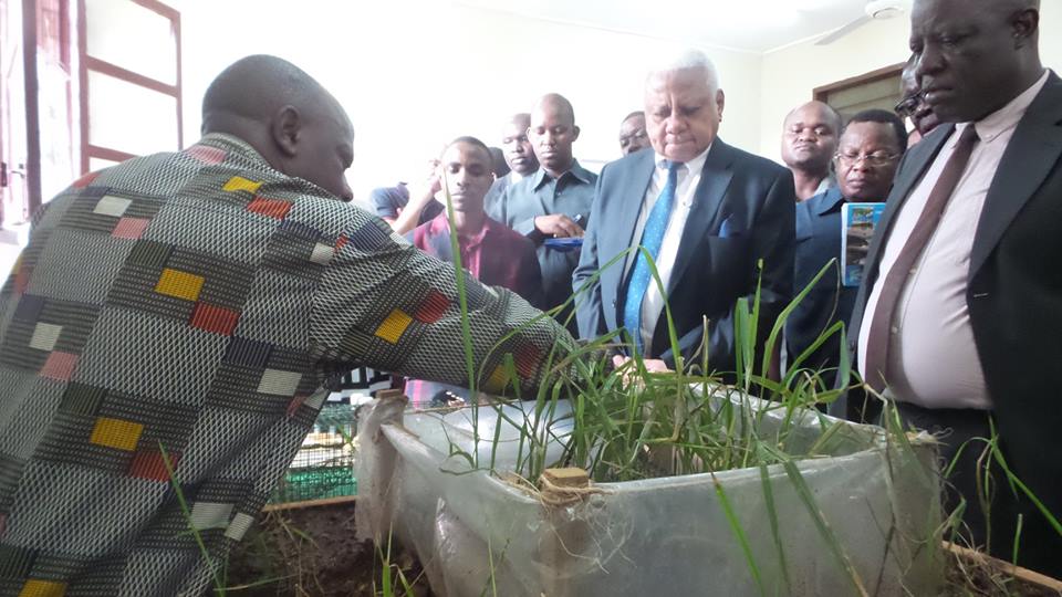 The Chairman of the SUA Council Hon.Mohamed Chande Othman (center) gets explanation from the Technologist Prof. Loth Mulungu about the Trap Barrier System (TBS) technology which is used to Control Rodent Pest species in irrigated rice crop production.